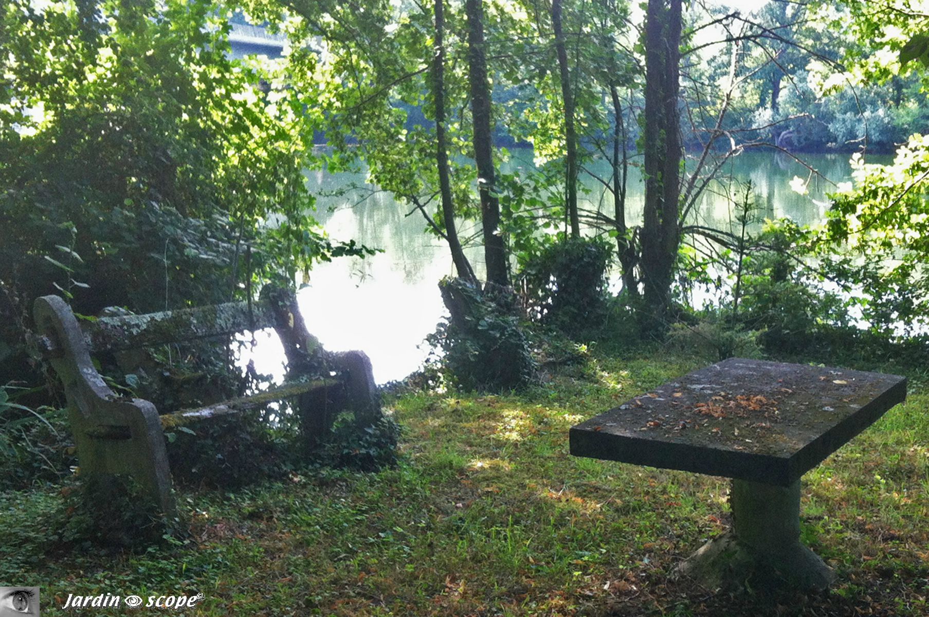Vieux banc au bord du Loiret