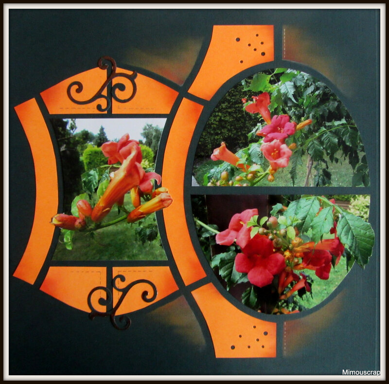 Jardin 2015 032