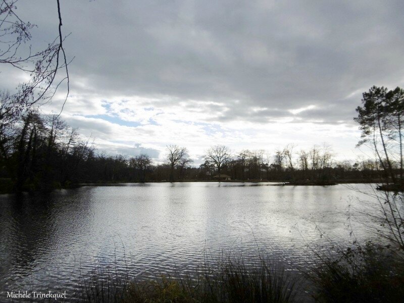 Etang de la Glacière 040118