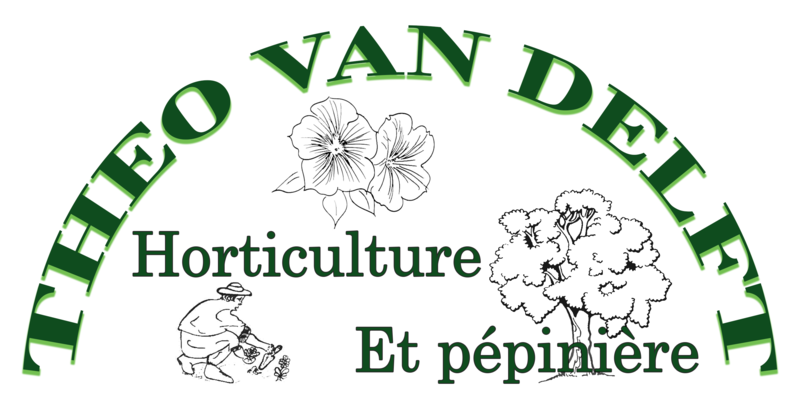 Logo van delft 2017