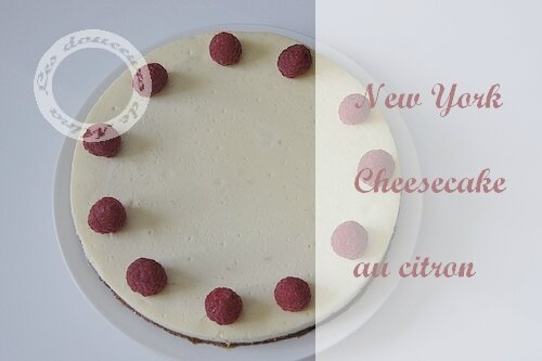 Cheesecake0008