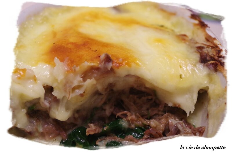 HACHIS PARMENTIER CANARD + photo feu 003