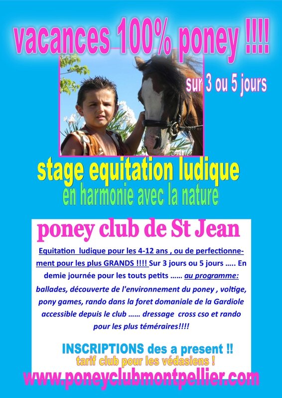 poster stage equitation juillet 2015