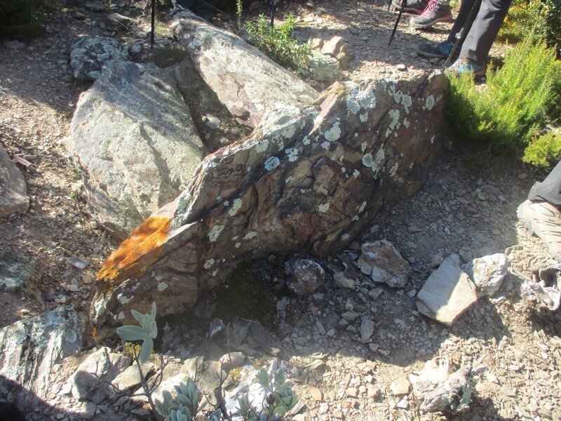 dolmen de molleres