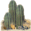 nature_cactus012