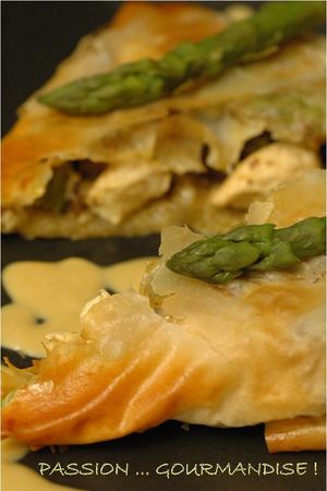 Filo_poulet_marron_asperge_morille_3