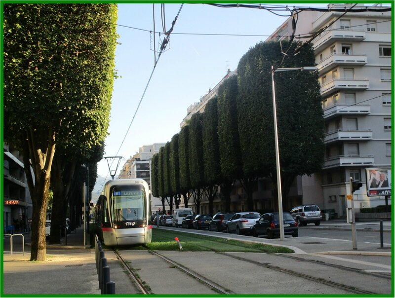 Tram4