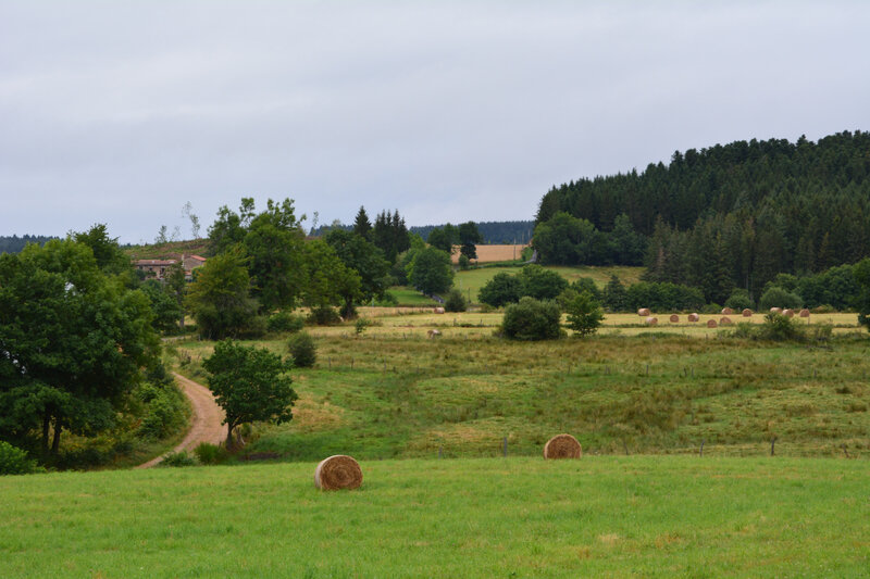 entre la litte longue et Lossedat (2)