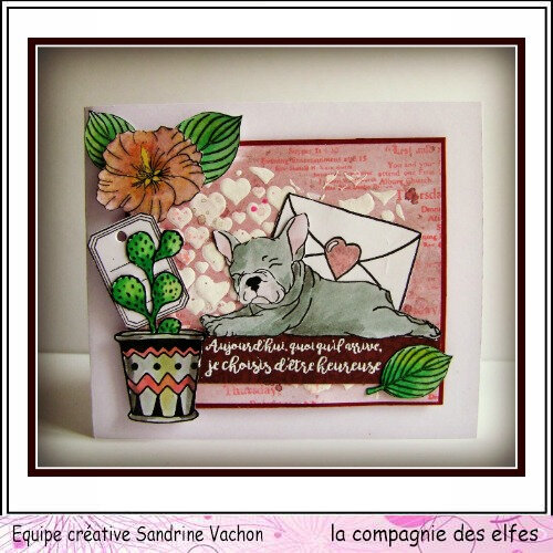 Carte bouledogue DT LCDE (1)