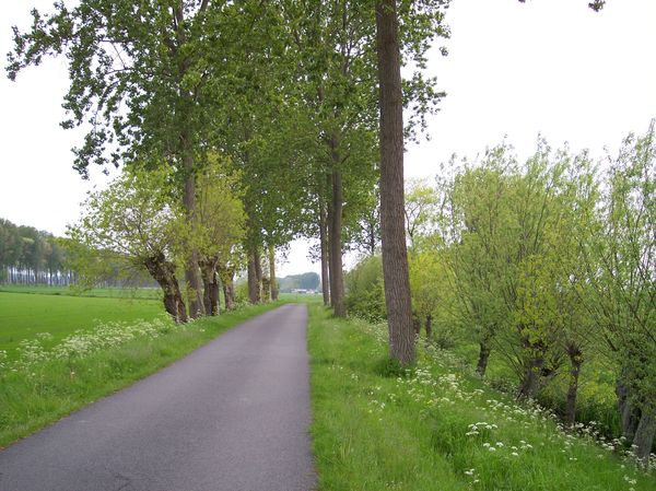 Oostkerke (122)