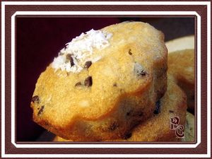 Petits_fondants___la_noix_de_coco_et_p_pites_de_chocolat__14_