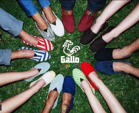 Gallo_colors