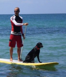Stand_up_paddle1__320x200_