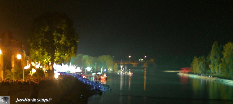 Image nocturne du Festival de Loire à Orléans (2009)