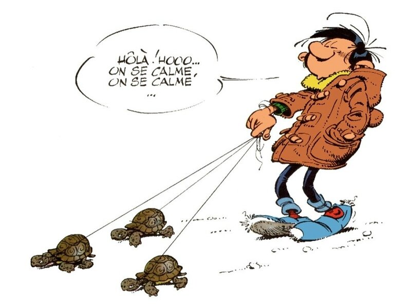 DDS 449 Gaston aux tortues