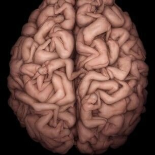 Bodies in Brain