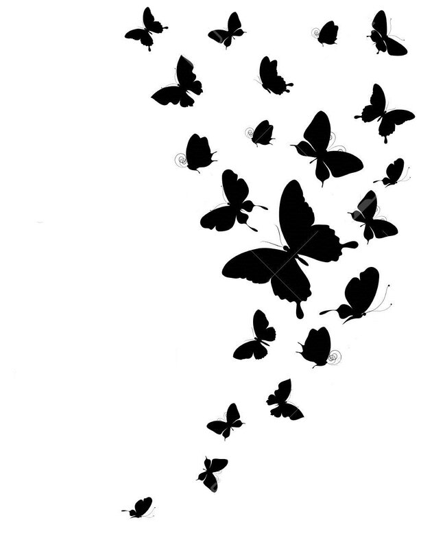 papillons-noirs