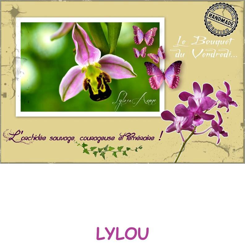 lylou