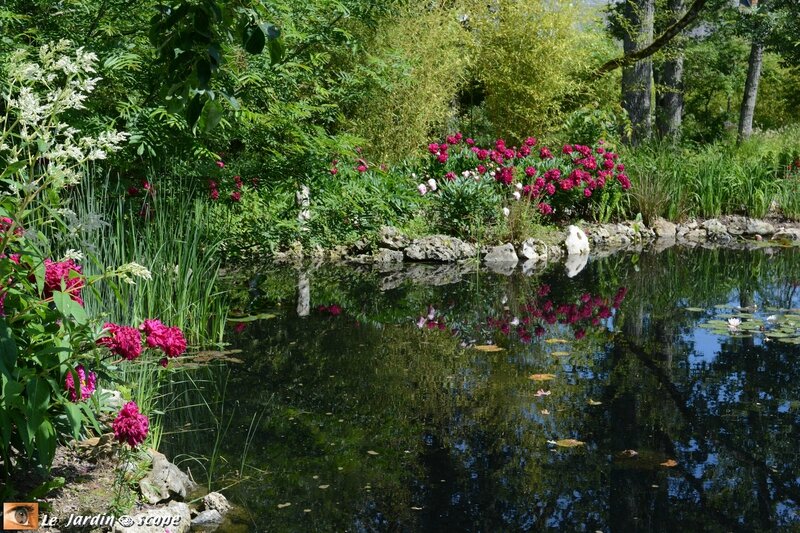 PAT_0170-Jardin-chinois
