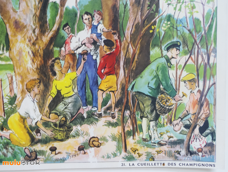 Affiche-CAMARADE-BLESSE-Champignons-11-muluBrok