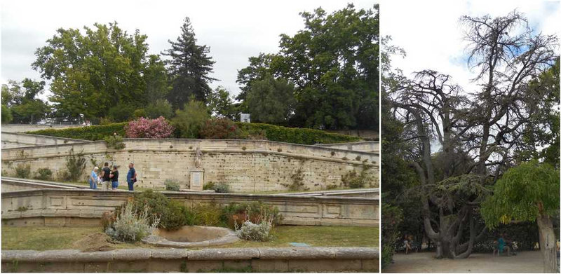 jardin 1