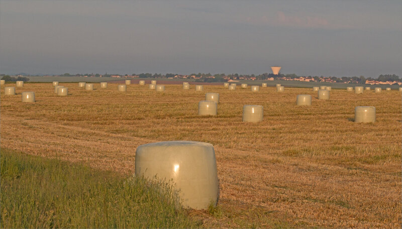 Aiffres balles foin lever soleil 070518