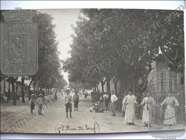 LE TARF - La Grand Rue (carte postale 1908)