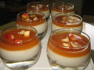 verrines_semoule_aux_pommes_du_jardin_et_au_caramel_beurre_sal__031