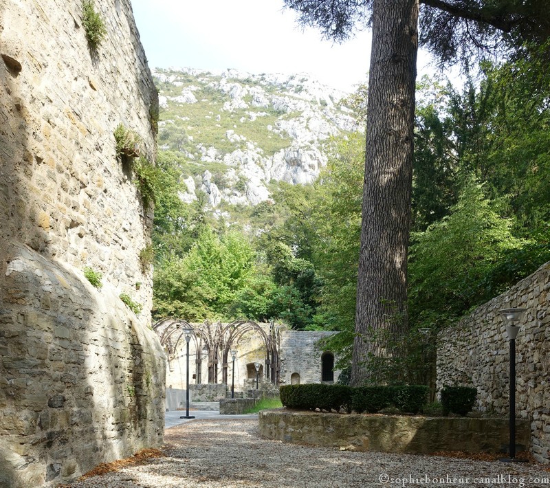 cours Abbaye
