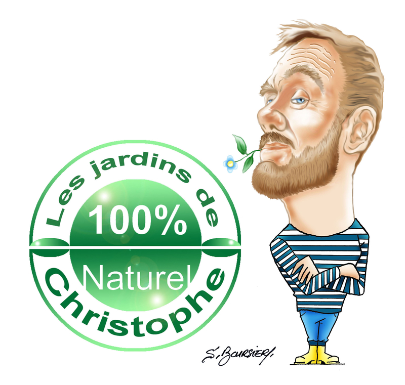 logo naturel et dessin 2