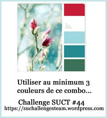 SUCT challenge 44 combo 2