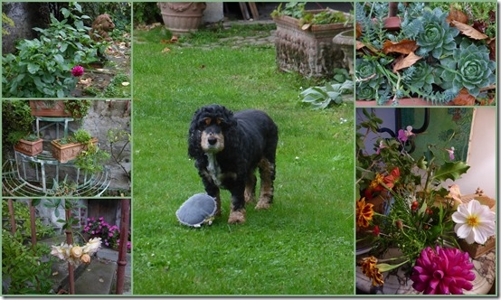 jardin 27 octobre 20196