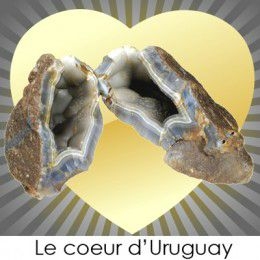 composition_coeur_uruguay_chemin_du_coeur_france_ouvert_260_260