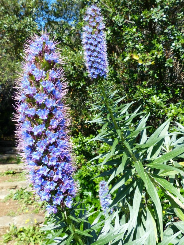 P1200151
