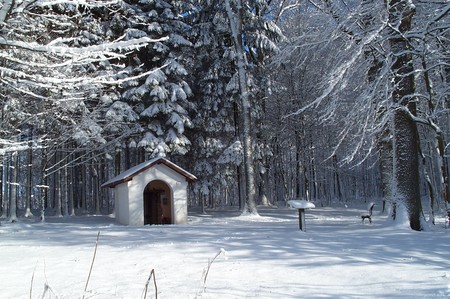 Les__tangs_en_hiver_4___la_chapelle