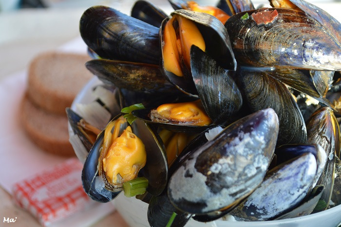 180804_moules_bouchot