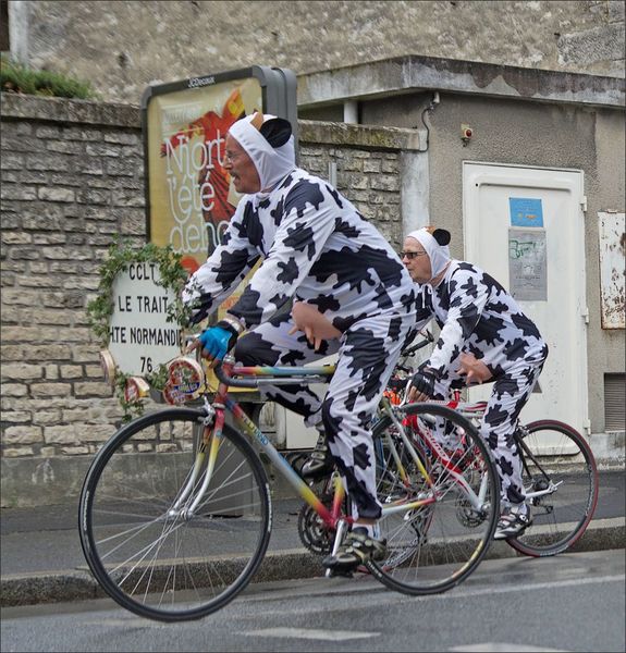 Niort cyclos parade normands vaches deguis 120812 2