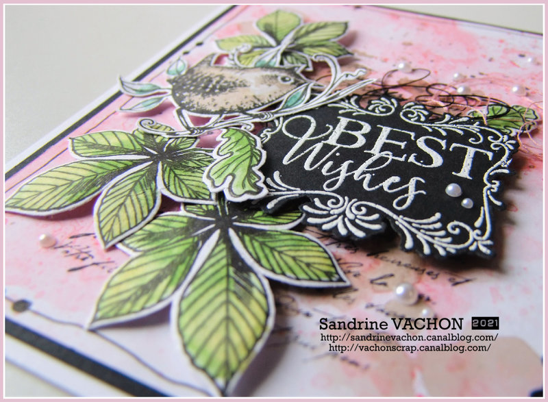 Carte BEST WISHES Pink Ink Designs (4)