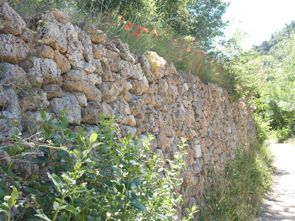 P1040573