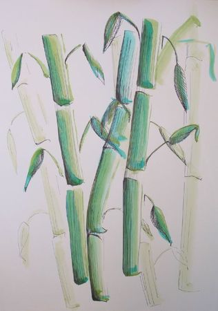 bamboo turquoise