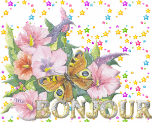 bonjour_papillons