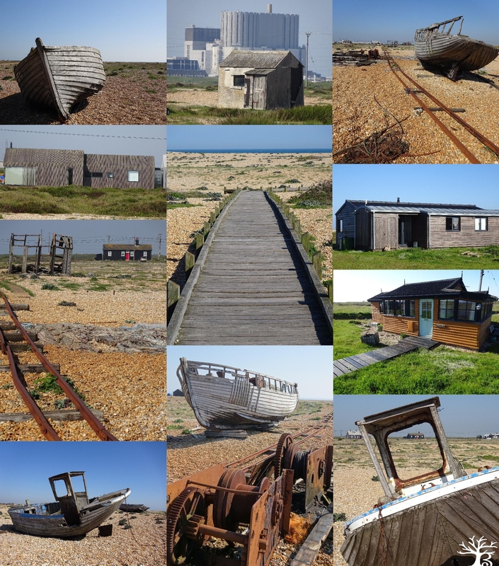 2018-05dungeness