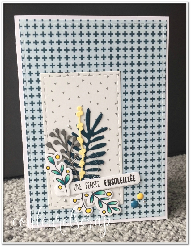 couleuretscrap_carte_amitié_combo_février_Little