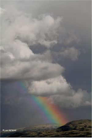 Arc-en-Ciel Dovrefjell Web