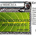 Phytothérapie - Les <b>Antibiotiques</b> naturels