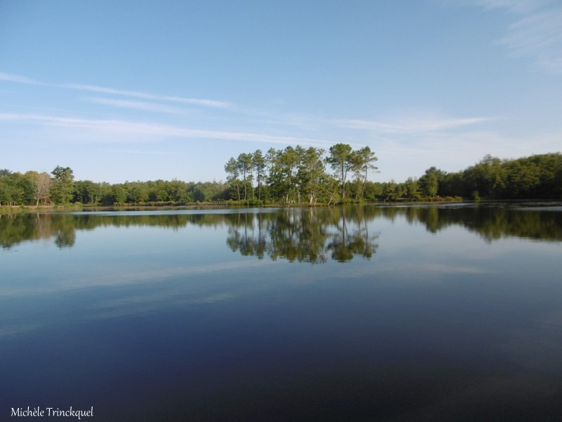 Etang de la Glacière 020918