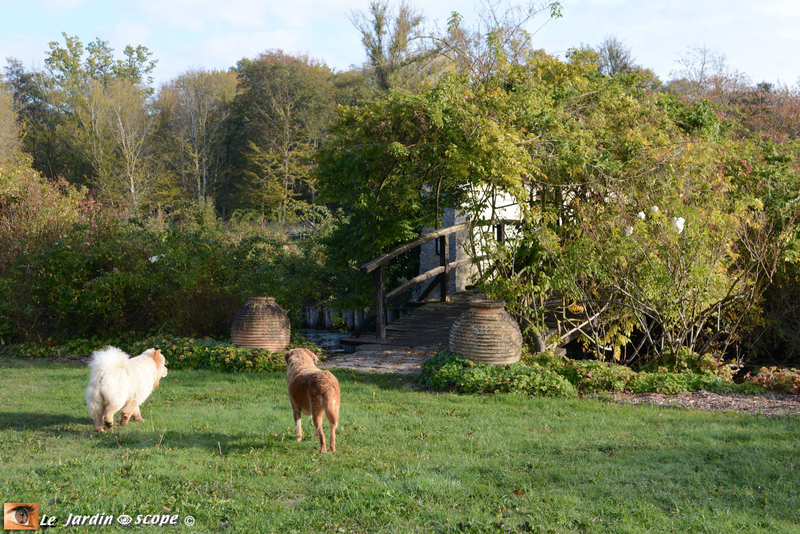 PAT_8954-Berville
