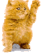 chat3