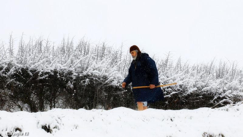 Photos JMP©Koufra 12 - Cornus - Neige - 28012019 - 0116