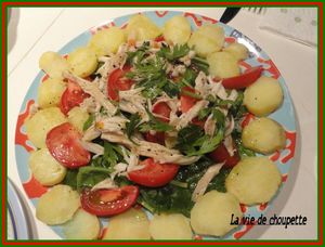 Villeneuve-loubet octobre 2011 camping 205